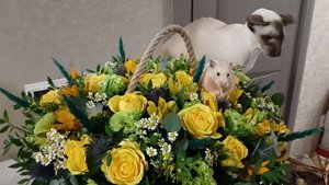 Мой день рождения!!!