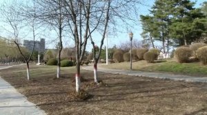Хуньчунь 18-19.04.2025.  3 часть