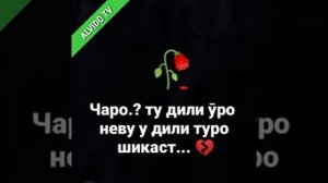 Шери ошики