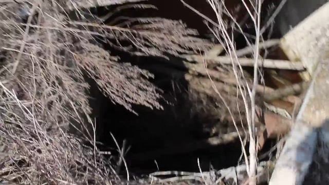 катакомбы рядом со школой №690 ч.2 смотреть онлайн