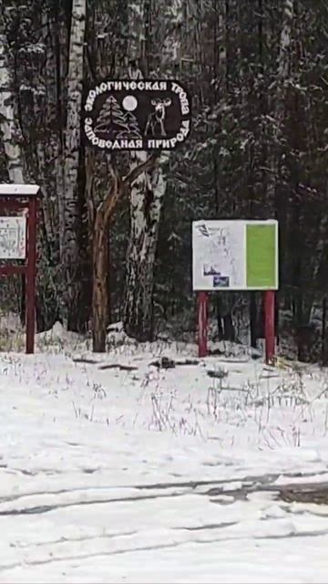 национальный парк Мещерский смотреть онлайн