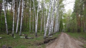 Выхожу из спячки. Возвращаюсь в ваши ряды сиройнеющих дам.