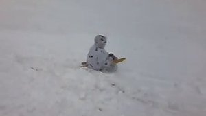 Прикол на охоте.