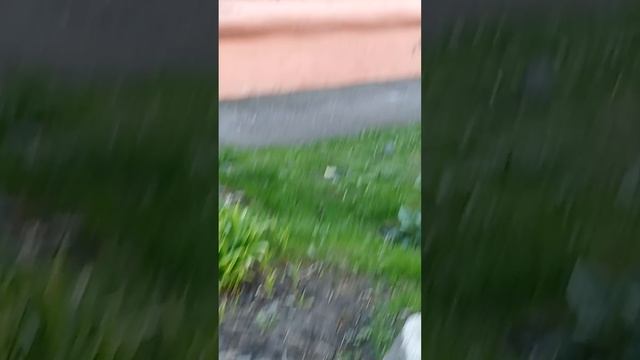 VID_20250428_193219 чистый двор на Гоголя.