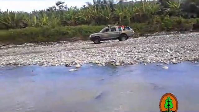 polhut_bksda_sulteng.flv смотреть онлайн