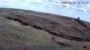 Видео с онлай камеры наблюдения