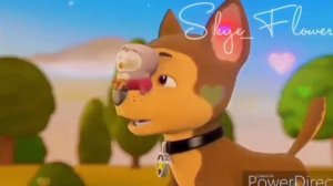 ~☁️Chase and Skye 💘 {я с тобою как в раю} for: Silvia paw patrol~