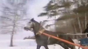 Чайковский Времена года  Ноябрь На тройке