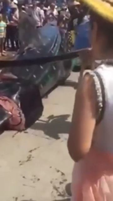 pesta besar daging ikan paus#shorts смотреть онлайн