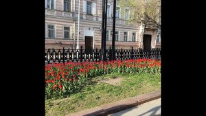 Белая кошка, Юлия Клаузер, исполняет Хэ Сысюань