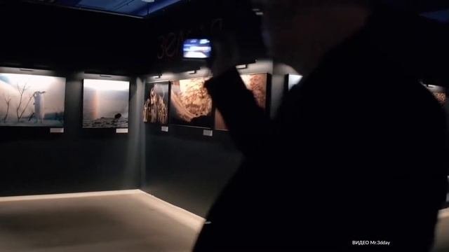 Москвичи смогут бесплатно посетить фестиваль «Золотая черепаха»
