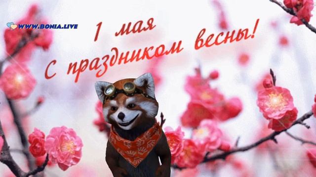 С 1 мая прикольное поздравление от Бони