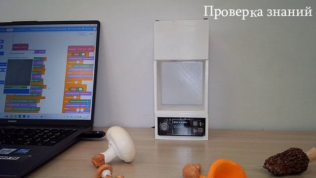 Грибознайка