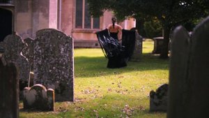 7292654-hd_1920_1080_24fps