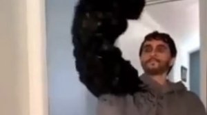 – Веном орёт, новый мем