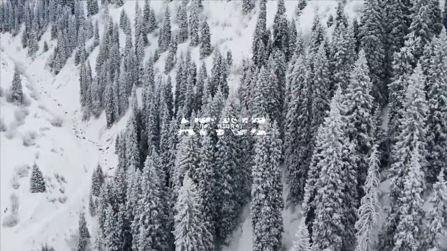 Бу Амални Килсангиз Пул Эшигингизни Кокиб Келади! Сирли_Тижорат