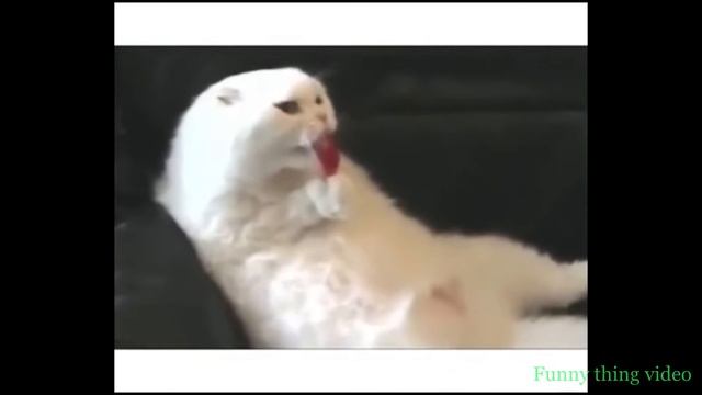 нарезка приколов 2016 лучшие приколы смотреть онлайн