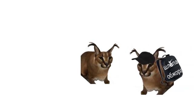 Реклама кафе «Шлëпа Обжора» смотреть онлайн