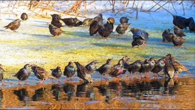 Фильм Я иду, а навстречу девчонка смотреть онлайн