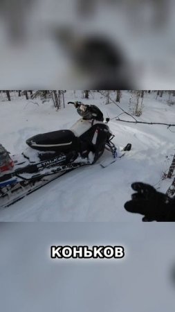 Снегоход. Разбираем по Косточкам. ЧТО Важно Знать Каждому?