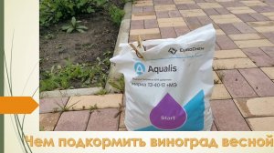 Первая весенняя подкормка винограда. Надо поддержать перед заморозками