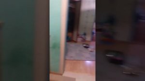 Поменялись телами