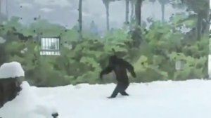 Горилла : ну нахер ;)