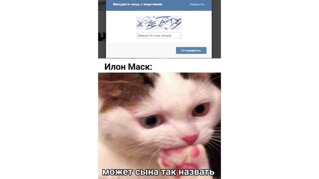 ПОКАЗАЛОСЬ?))) Приколы с котами | Мемозг 697 смотреть онлайн