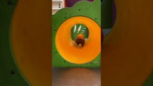 VID-20250411-WA0046