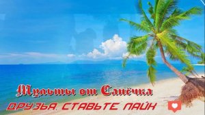 Латиноамериканская музыка 2023 🌴 Spain music 2023 | Испанские Песни 2023 ♫🌴 Донат в описании