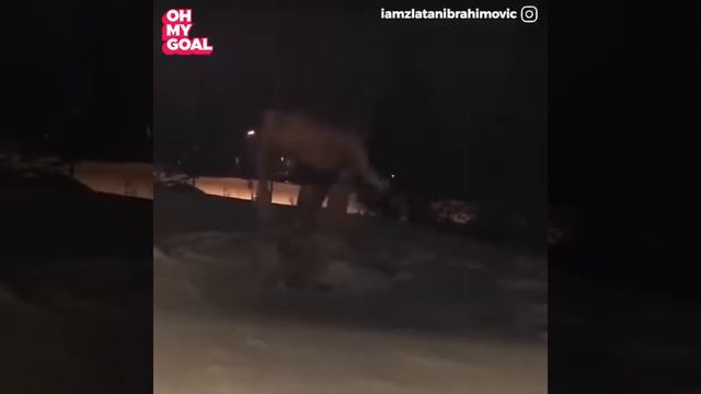 Златан Ибрагимович Очень Смешные Моменты Забавная подборка