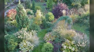 Декоративные травы: овсяница, сеслерия, сподиопогон, чий, вейник, щучка, ожика, осоки