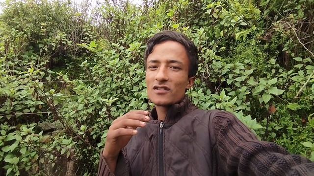 My First Vlog || How To Make Vlog From Mobile || Vlog Kasari Banaune#trending #firstvlog