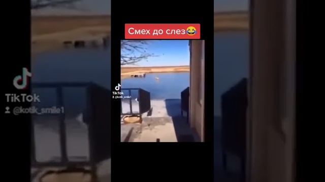 Когда не даешь спать | Приколы | Тик Ток #Shorts смотреть онлайн