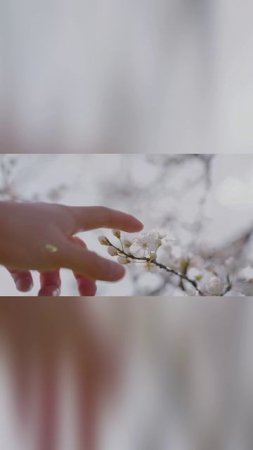 Музыкальное поздравление с Первомаем