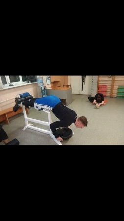 Гиперэкстензия с блинами TrainingFactory00