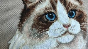 Рэгдол от Panna. Котик с необычными нитками от "Панна "