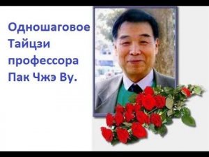 Профессор Пак Чжэ Ву. Одношаговое Тайцзи.