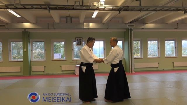 9 Aikido Ai Hanmi Iriminage Omote Low Position Shishiya Sensei Malmö, 2019