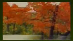 Екатерина Шаврина - Где ты появился на свет