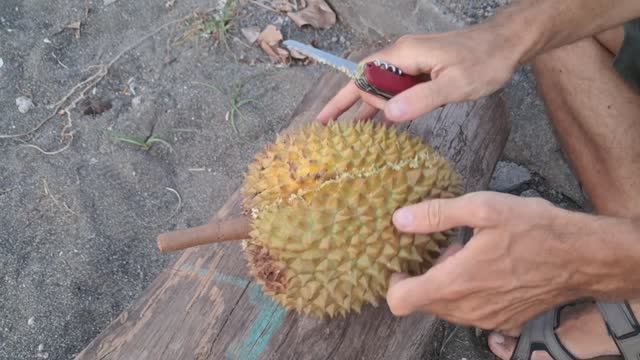 🍈 Как чистить и есть вонючий фрукт дуриан