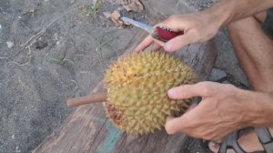 🍈 Как чистить и есть вонючий фрукт дуриан