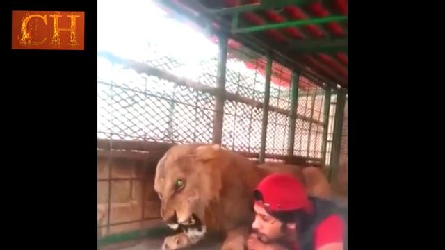 ЛУЧШИЕ ПРИКОЛЫ CRAZY HUMOR (Выпуск )/Funny Videos смотреть онлайн