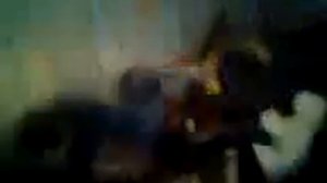 Прикол-Саня отжигает