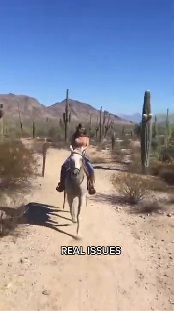 Как правильно кататься на лошади смотреть онлайн