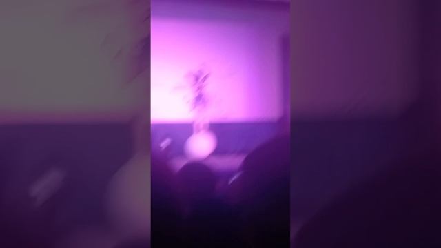 1 декабря 2023 г. смотреть онлайн