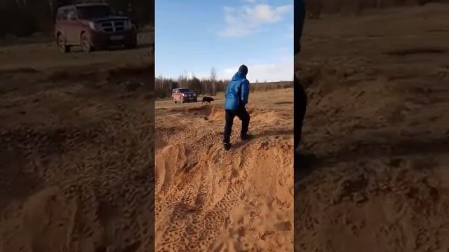 Собака Мотя купается на льду. Приколы с животными. смотреть онлайн