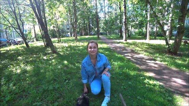 Куба. Их Кошачье Величество первый раз выходит в свет смотреть онлайн