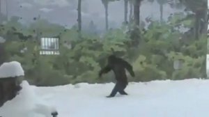 Планета обезьян... Ну нахер...