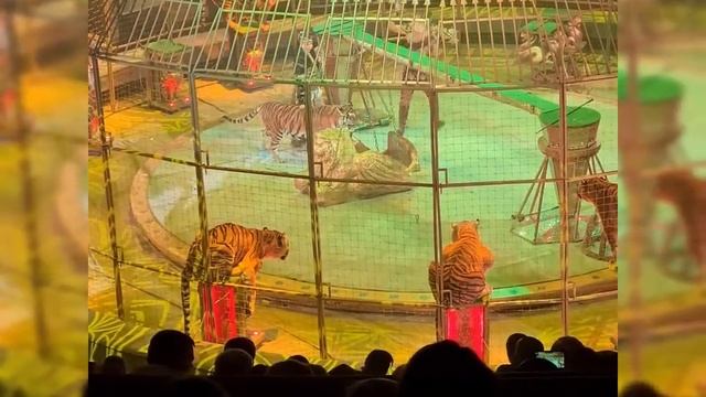 6 января 2022 г. смотреть онлайн